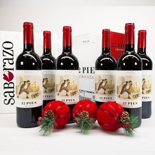 Selección Vino Rioja 22 Pies Crianza 2018 (Caja 6 Botellas)
